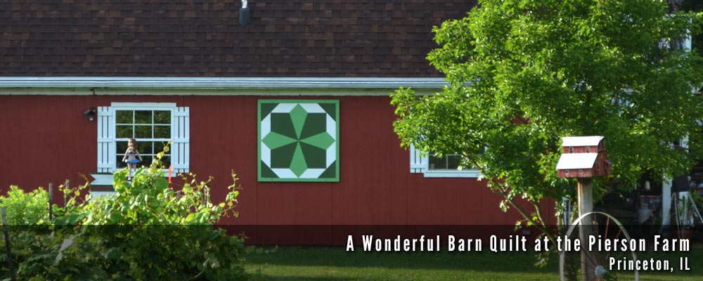The Barn Quilts of Bureau County